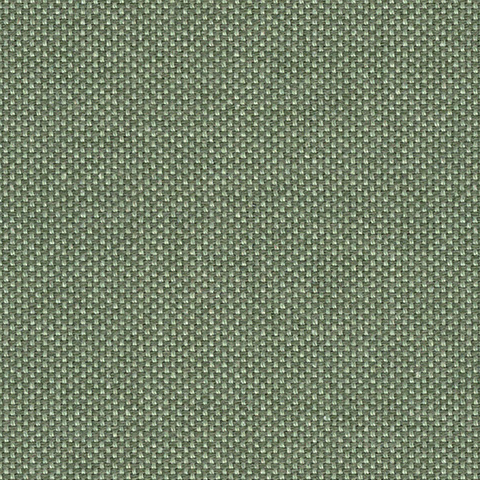 Bibliotheque Locus Lichen